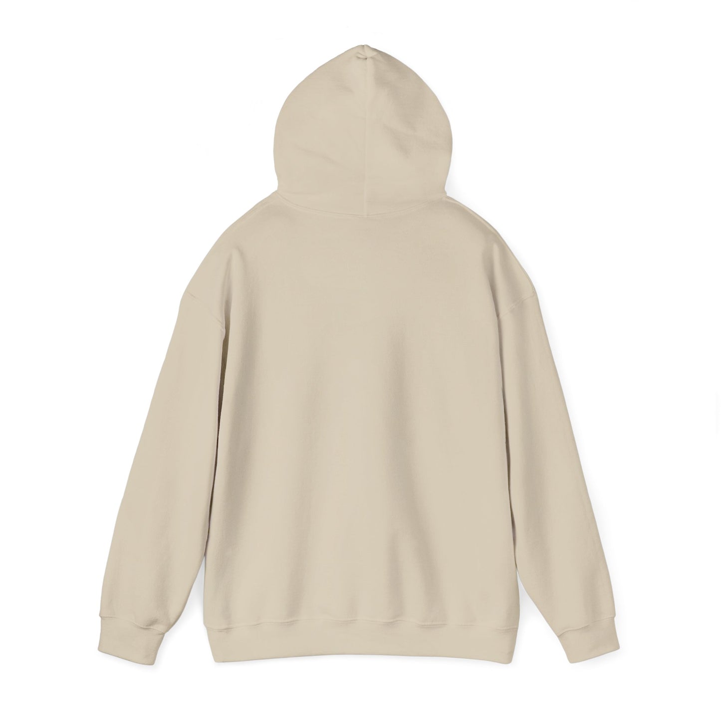 SATS Symbol Operation Roundabout Hoodie