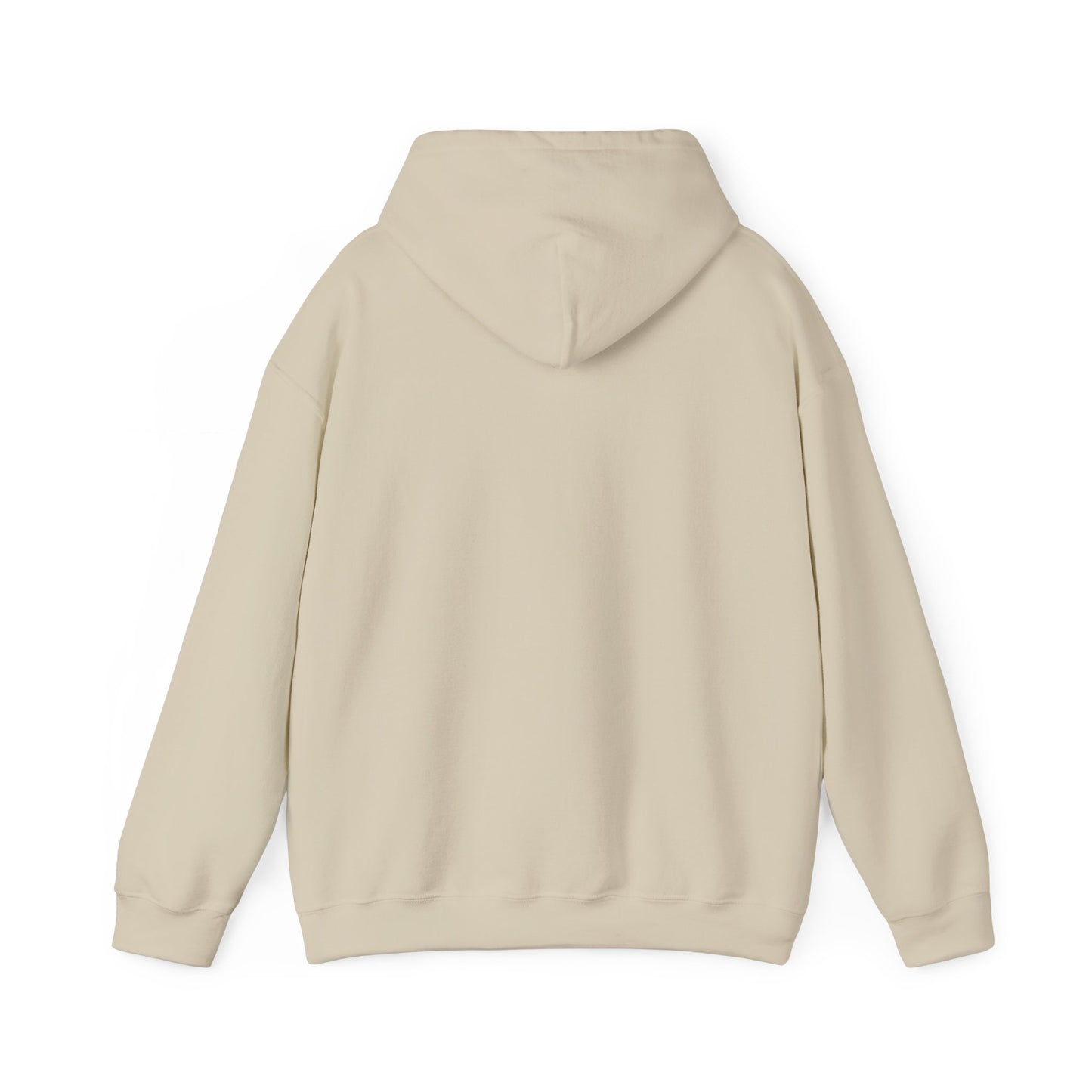 SATS Symbol Operation Roundabout Hoodie
