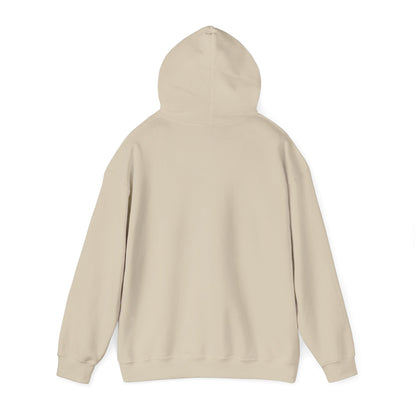 SATS Symbol Operation Roundabout Hoodie